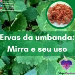 Saiba mais sobre as ervas da umbanda e seu uso: mirra