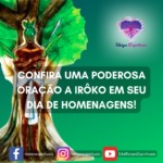 Confira uma poderosa oração para o dia de Irôko e peça sua benção!