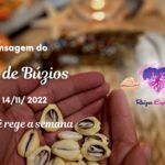 Jogo de búzios de 14-11-2022: Orixá Oxumarê rege a semana