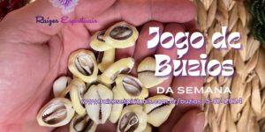Jogo de búzios de 15-07-2024 com a mensagem de Iansã
